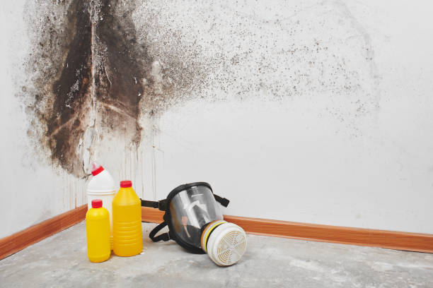 Best HVAC Mold Remediation in Pennsboro, WV