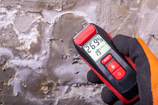 Best Kitchen Mold Remediation in Pennsboro, WV
